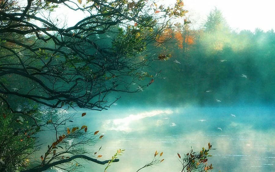Cover image for Jen Skillicorn, DrPH