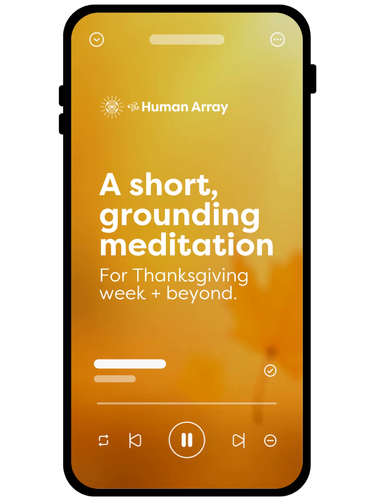 Smartphone screen with "The Human Array" logo on a golden background, displaying "A short, grounding meditation for Thanksgiving week + beyond."