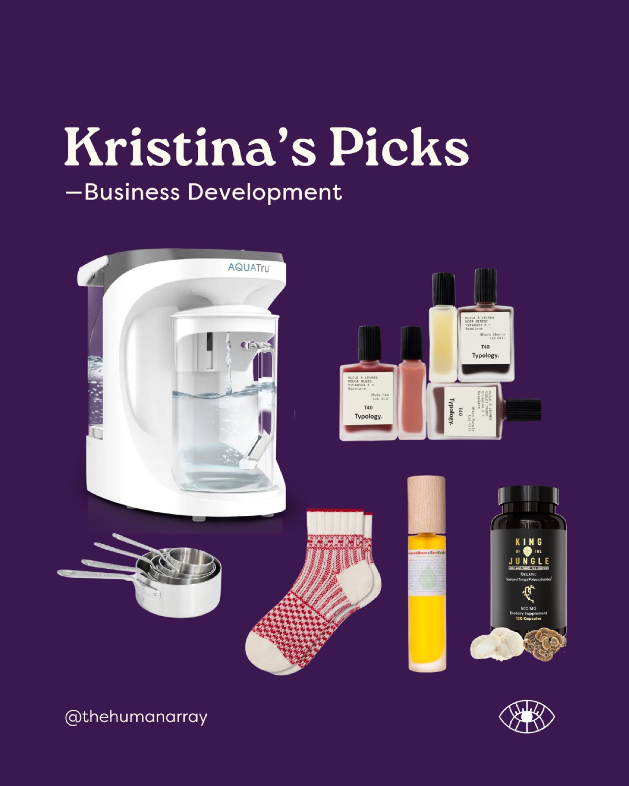 A purple background displays a water purifier, essential oils, measuring cups, socks, supplements, and text: "Kristina's Picks - Business Development."