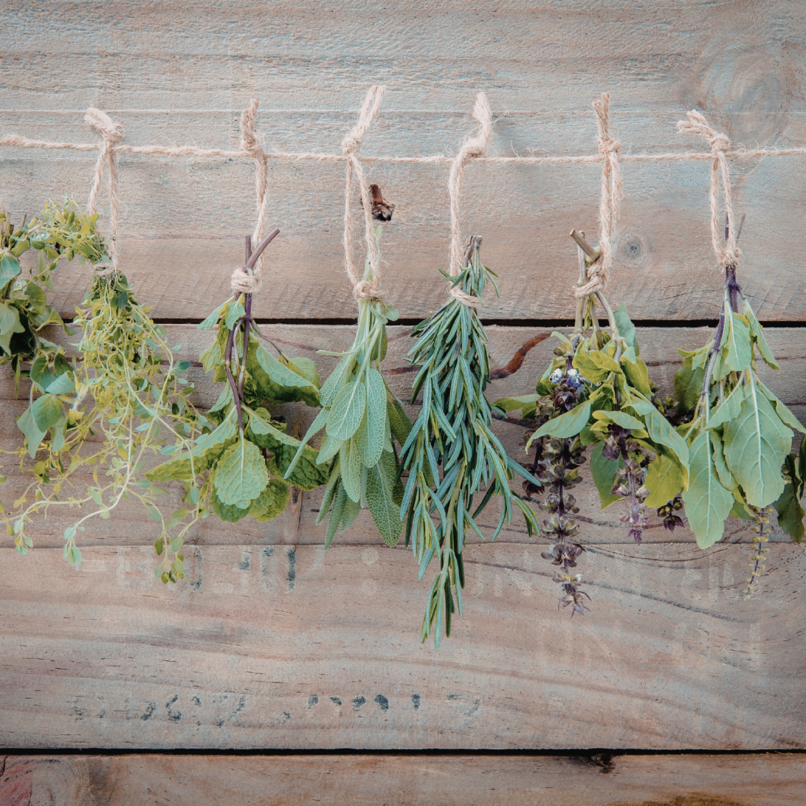 Herbs, including rosemary and sage, hang on a twine against a rustic wooden background, creating a natural and earthy mood.