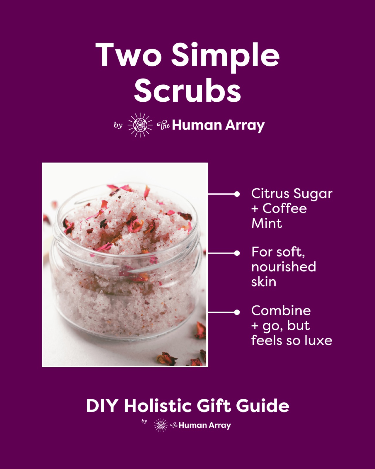 DIY gift guide for two scrubs by Human Array. Image of jar with exfoliant on purple background. Text: Citrus Sugar + Coffee Mint.